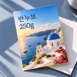 [수입지엽서] 반누보 250g