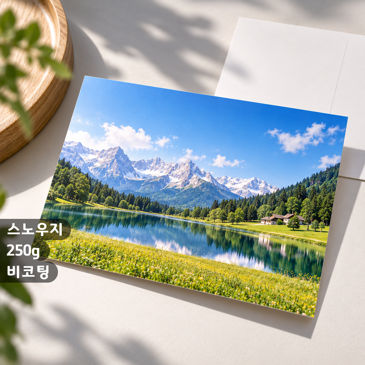 [일반엽서] 스노우지 250g 비코팅 500매 이상
