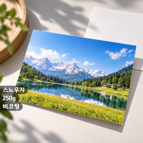 [일반엽서] 스노우지 250g 비코팅 500매 이상