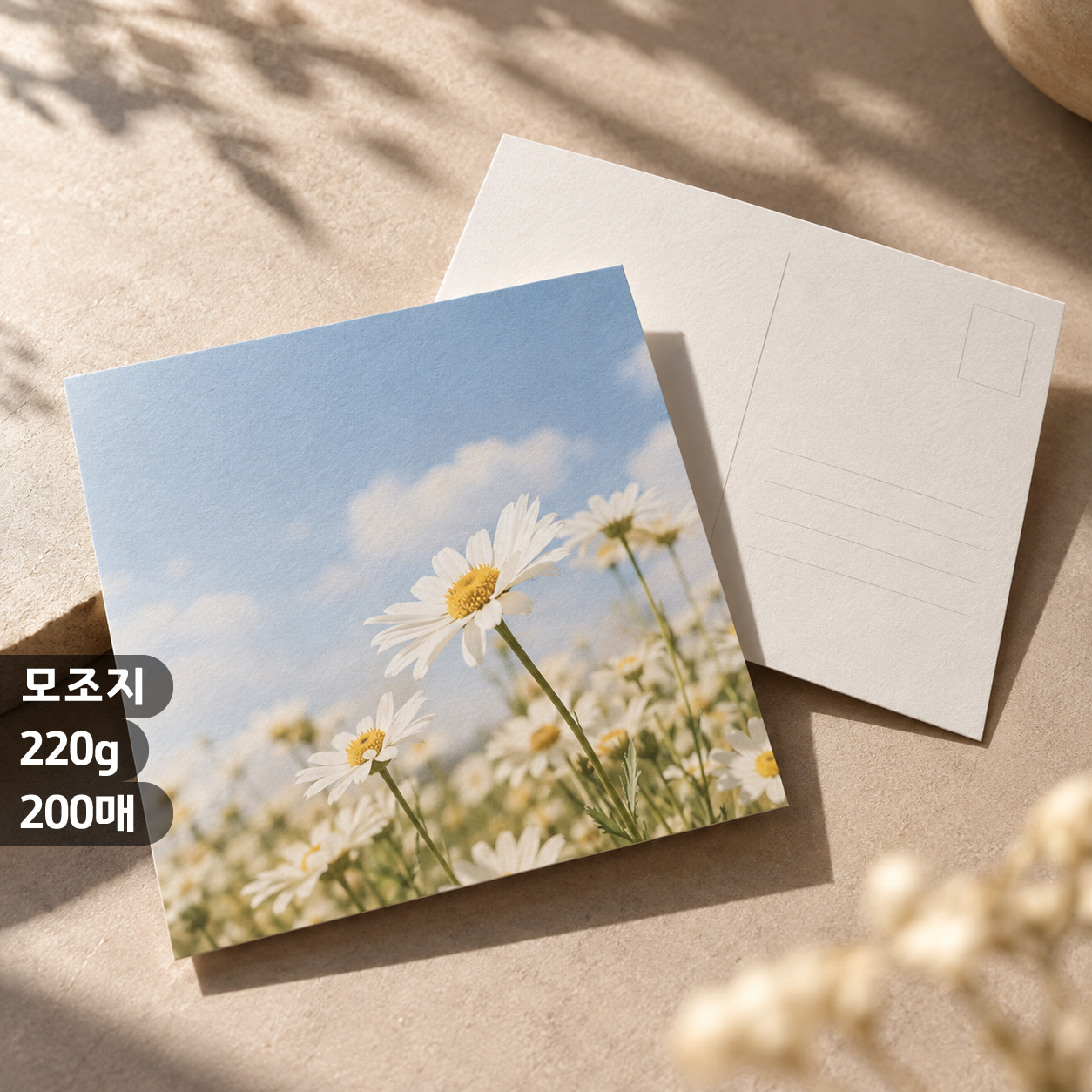 [일반엽서] 모조지 백색 220g